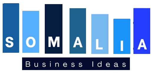 Somalia Business Ideas